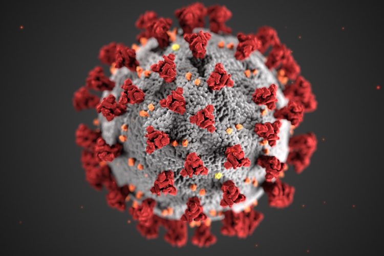 Structure of a Coronavirus - Small business fraud