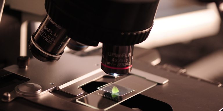 Close-up of a slide under a microscope, symbolizing medicare fraud