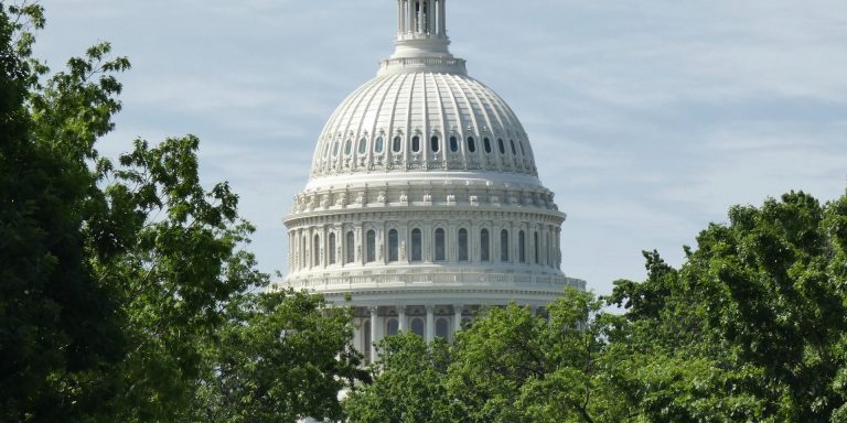 Washington DC Capitol Building where whistleblower statutes have been discussed, representing whistleblower protections and the CHOICE Act