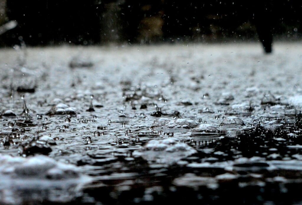 Close-up of Raindrops