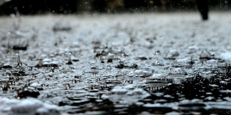 Close-up of Raindrops